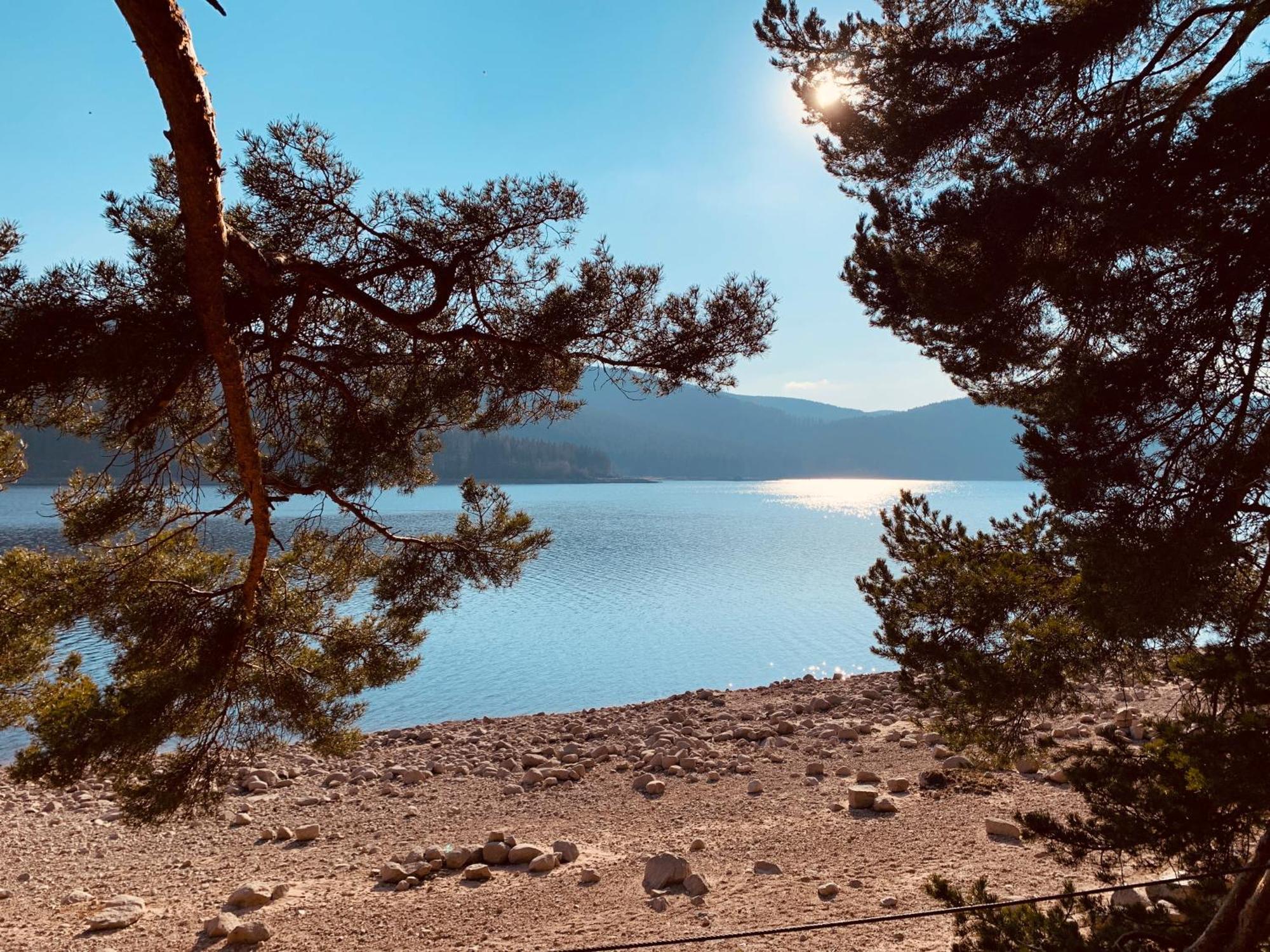 Kurhotel Schluchsee Apartment 2411 Bagian luar foto